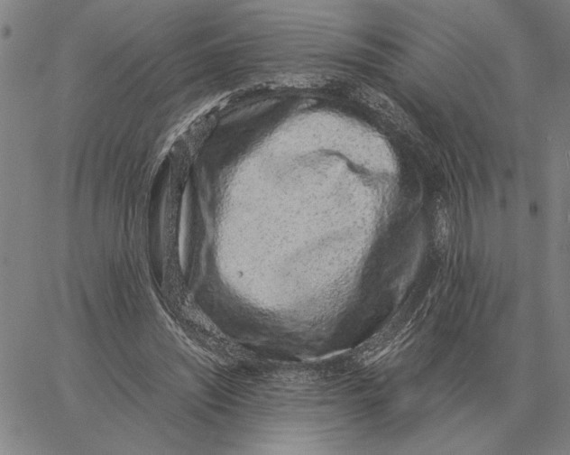 X0000061720444200512231412