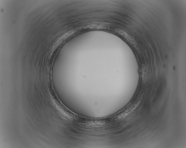 X0000061720445200512231412