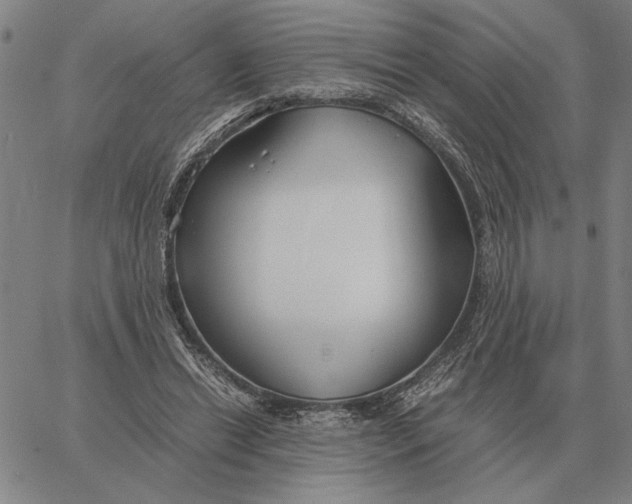 X0000061720446200512231412