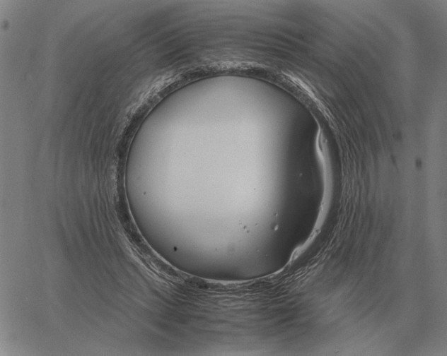 X0000061720447200512231412