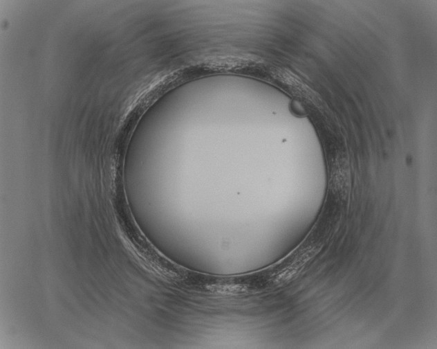 X0000061720448200512231413