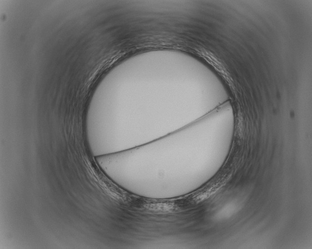 X0000061720449200512231413