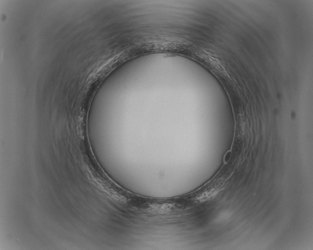 X0000061720450200512231413