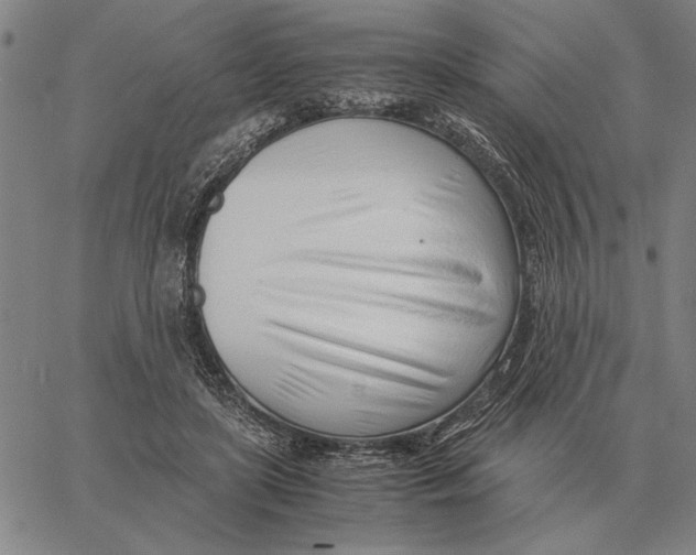 X0000061720451200512231413