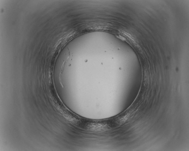 X0000061720453200512231413