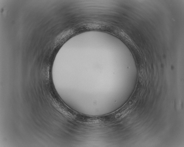 X0000061720454200512231413