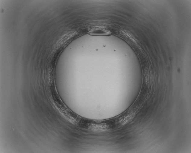 X0000061720455200512231413