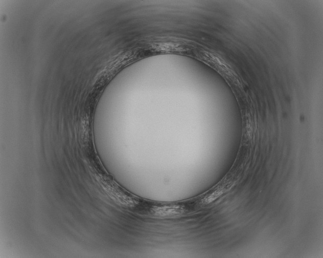 X0000061720461200512231413