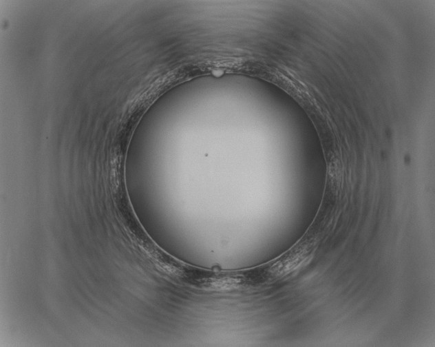 X0000061720462200512231413