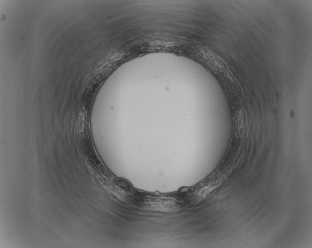 X0000061720463200512231413