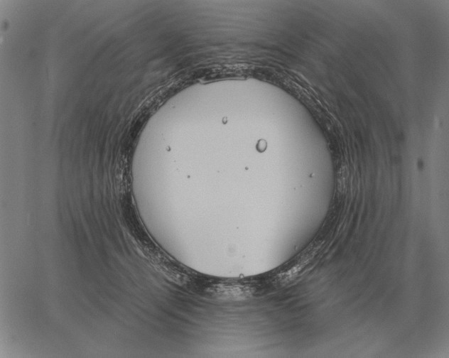 X0000061720464200512231413