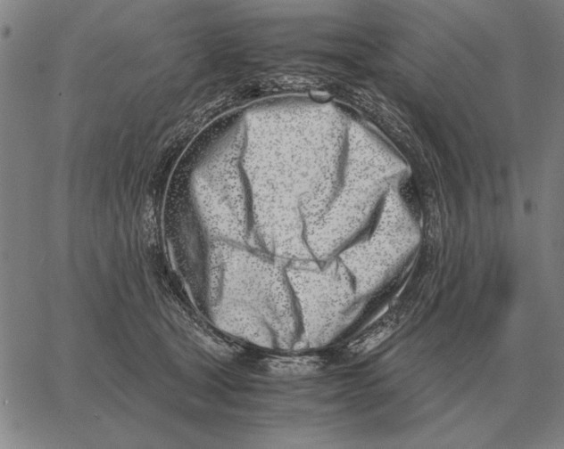 X0000061720465200512231413