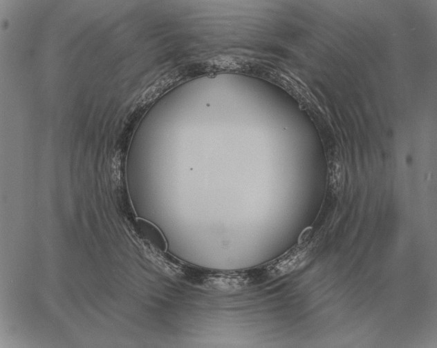 X0000061720466200512231413