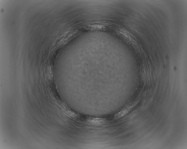 X0000061720467200512231413