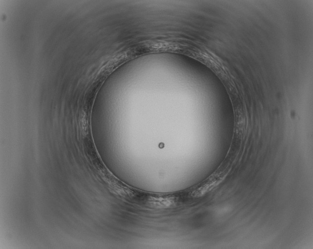 X0000061720469200512231413