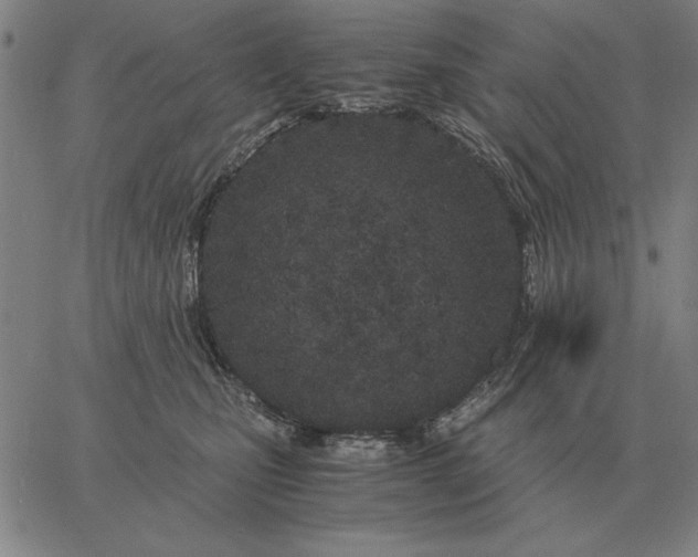 X0000061720471200512231413