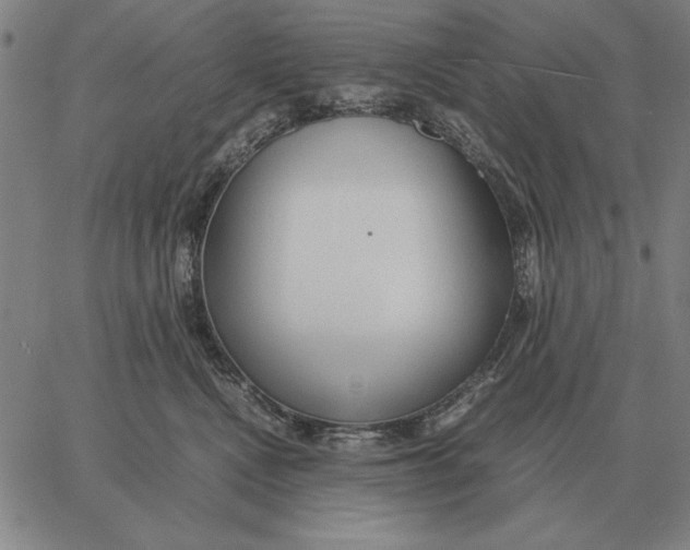 X0000061720472200512231413