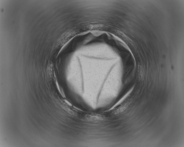 X0000061720475200512231413