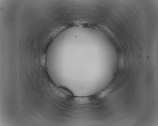 X0000061720477200512231413