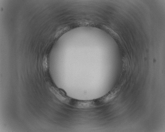 X0000061720479200512231413