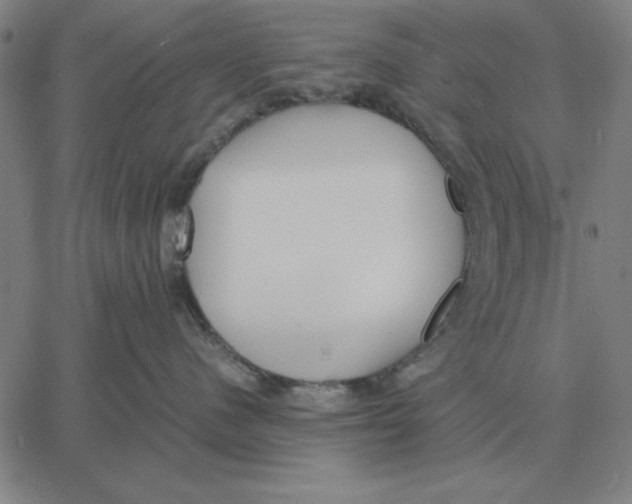 X0000061720480200512231413