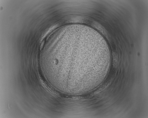 X0000061720482200512231412