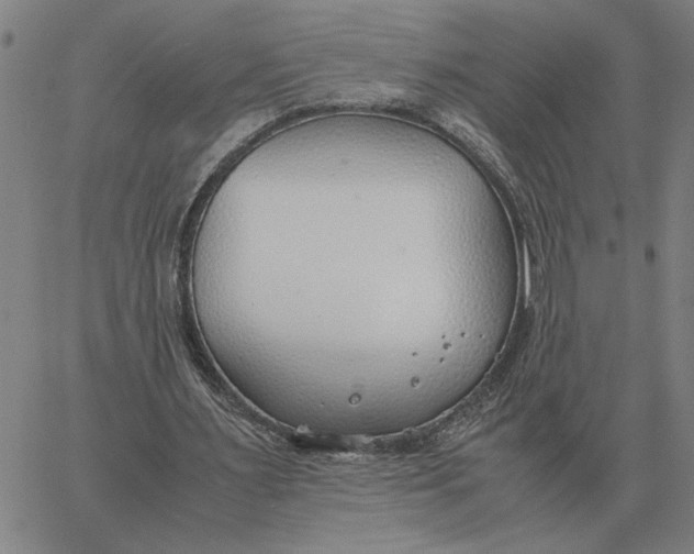 X0000061720483200512231412