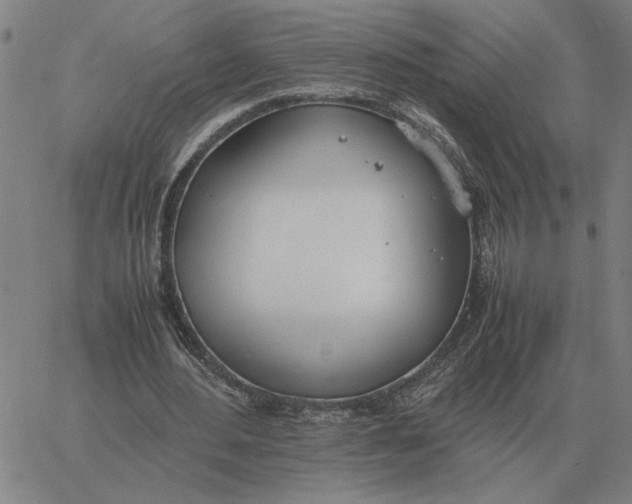 X0000061720484200512231412