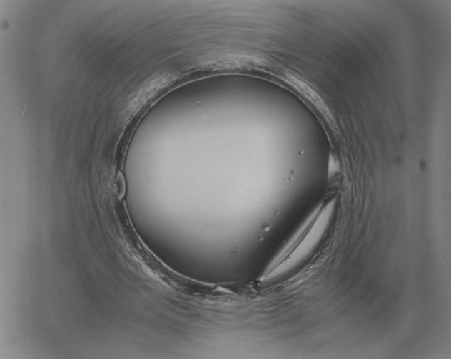 X0000061720485200512231412