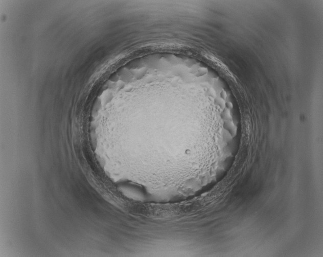 X0000061720487200512231412