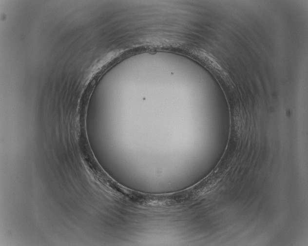 X0000061720488200512231412