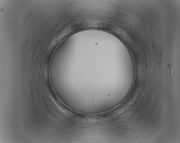 X0000061720489200512231412