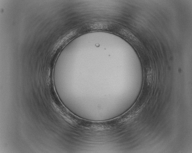 X0000061720490200512231412