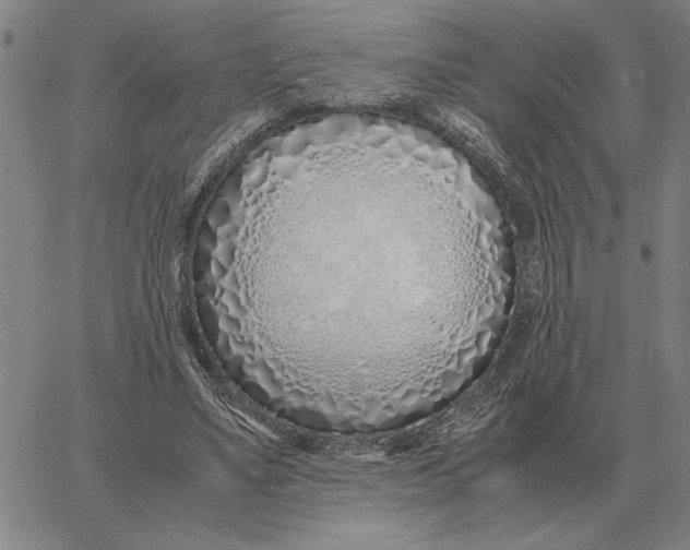 X0000061720491200512231412