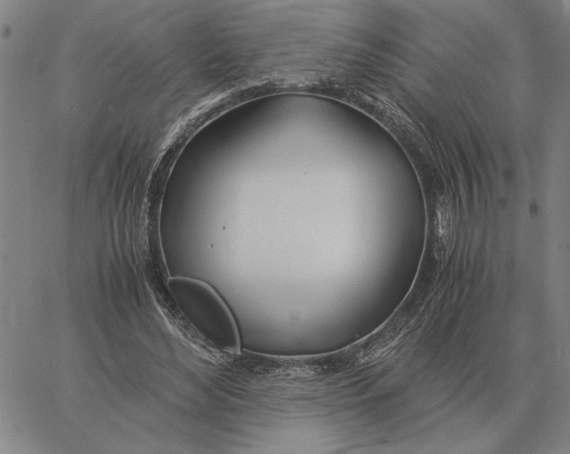 X0000061720492200512231412