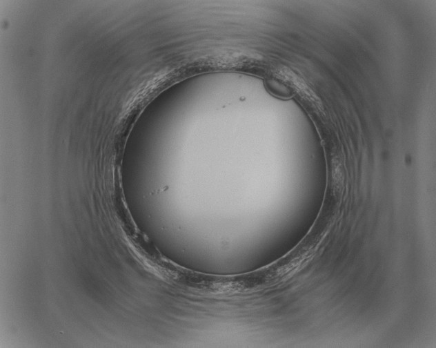 X0000061720493200512231412