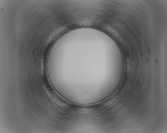 X0000061720494200512231412