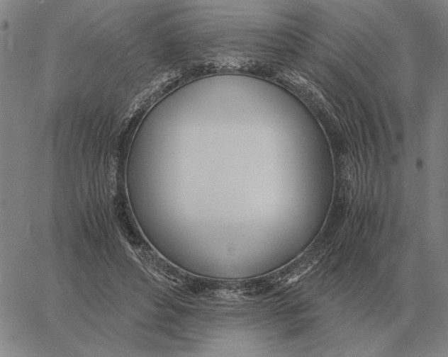 X0000061720496200512231412