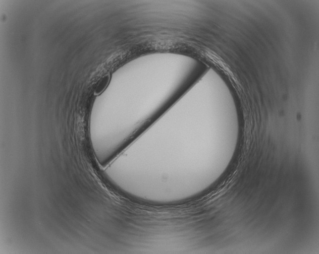 X0000061720497200512231412