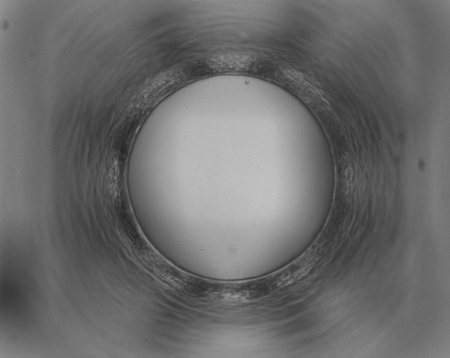 X0000061720498200512231412