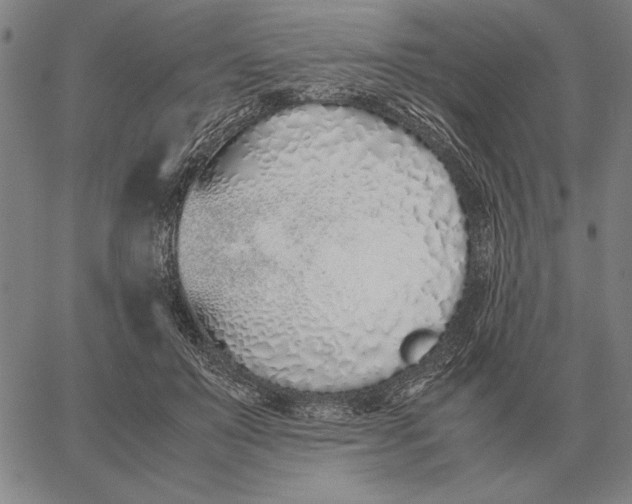 X0000061720503200512231412