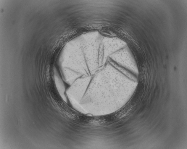 X0000061720504200512231412