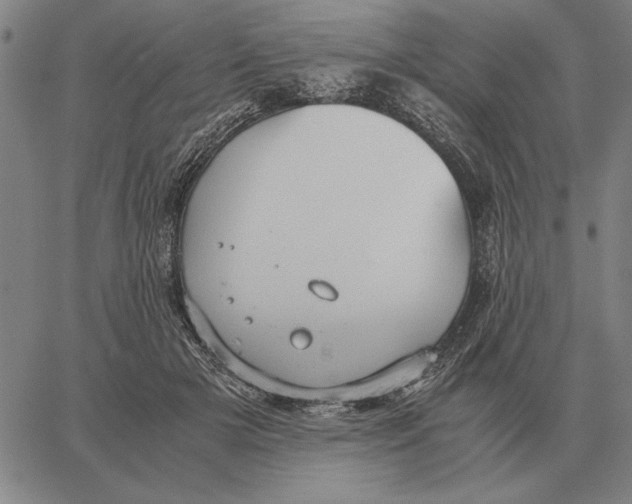 X0000061720505200512231412