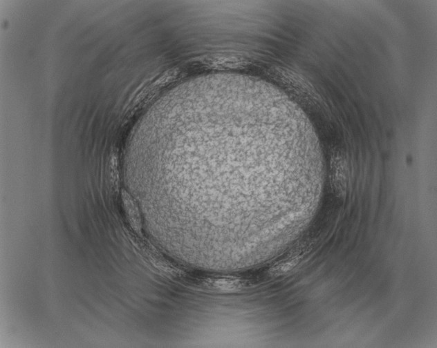 X0000061720506200512231412