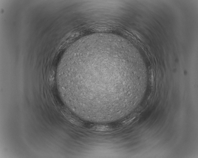 X0000061720507200512231412