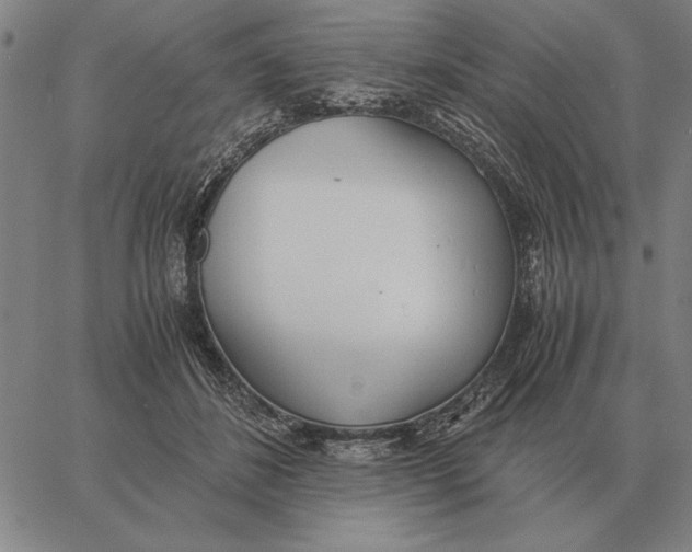 X0000061720508200512231412