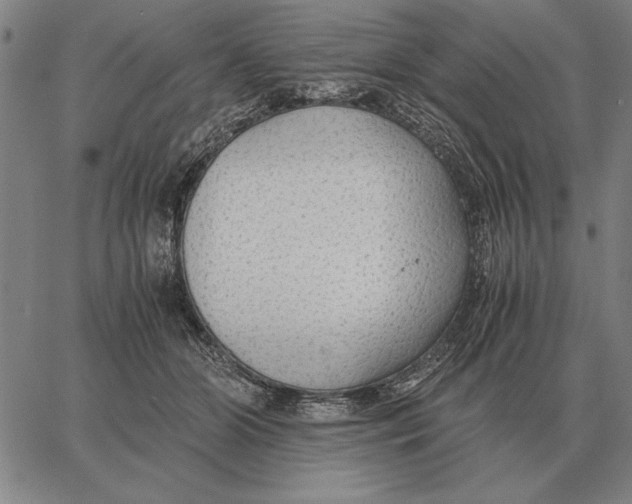 X0000061720510200512231412