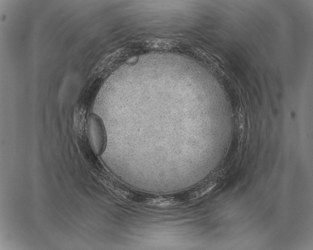 X0000061720511200512231412