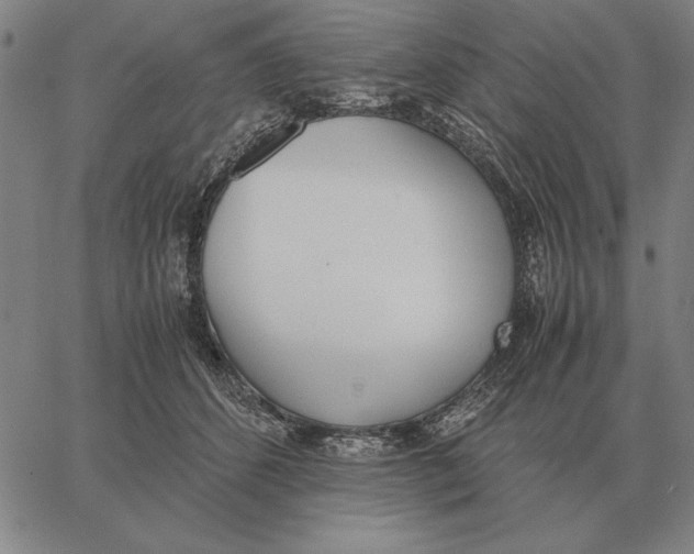 X0000061720512200512231412