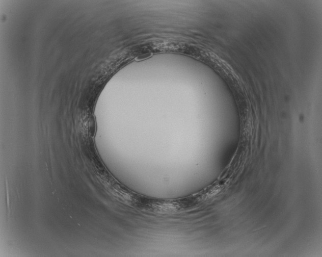 X0000061720513200512231412